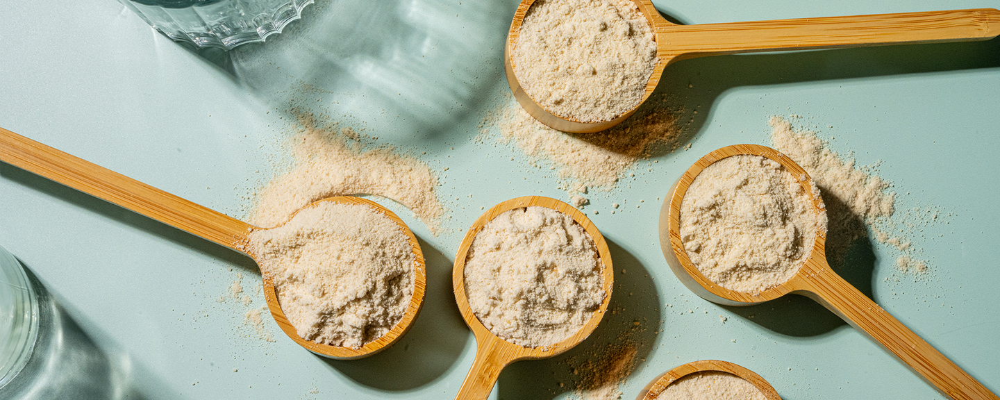 WeNatal Protein +: A 3-in-1 fertility and pregnancy support formula