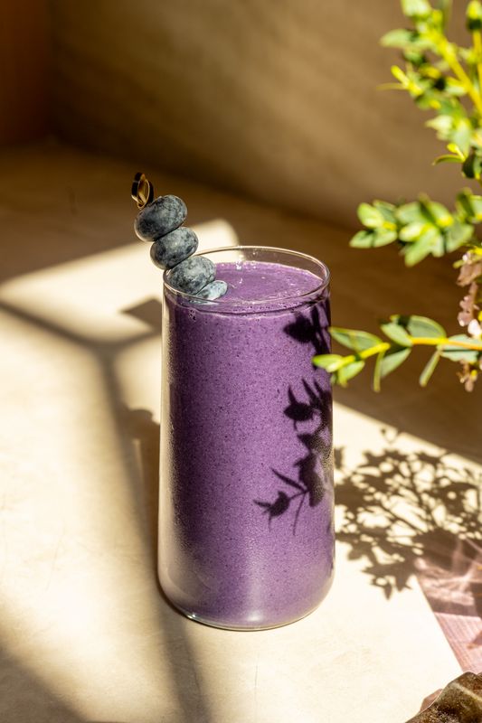 Blueberry Protein