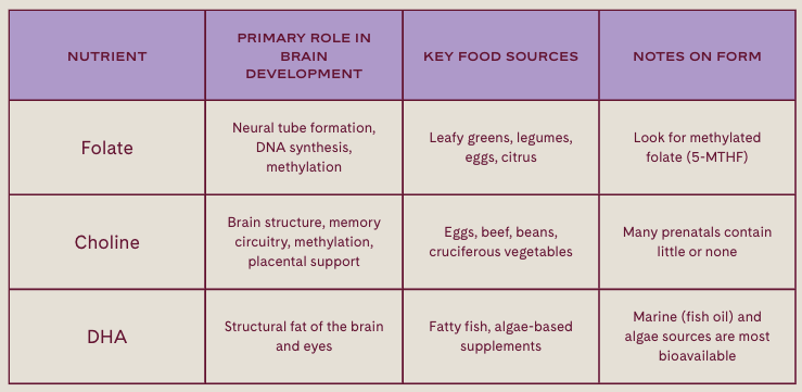 Choline folate DHA blog