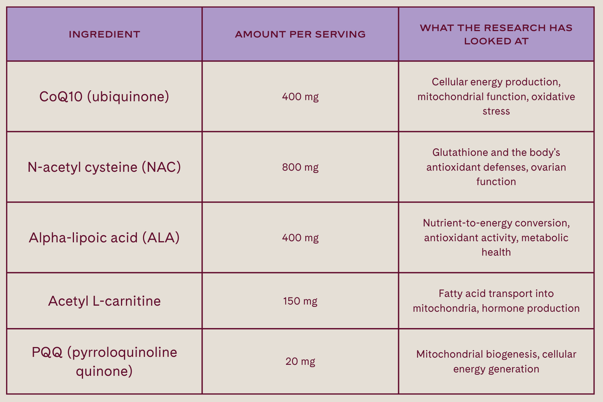 acetyl-l-carnitine egg quality Supplement to Support Egg Health — WeNatal Tyrosinase inhibitor toner Size:30 Capsules Your liver might be