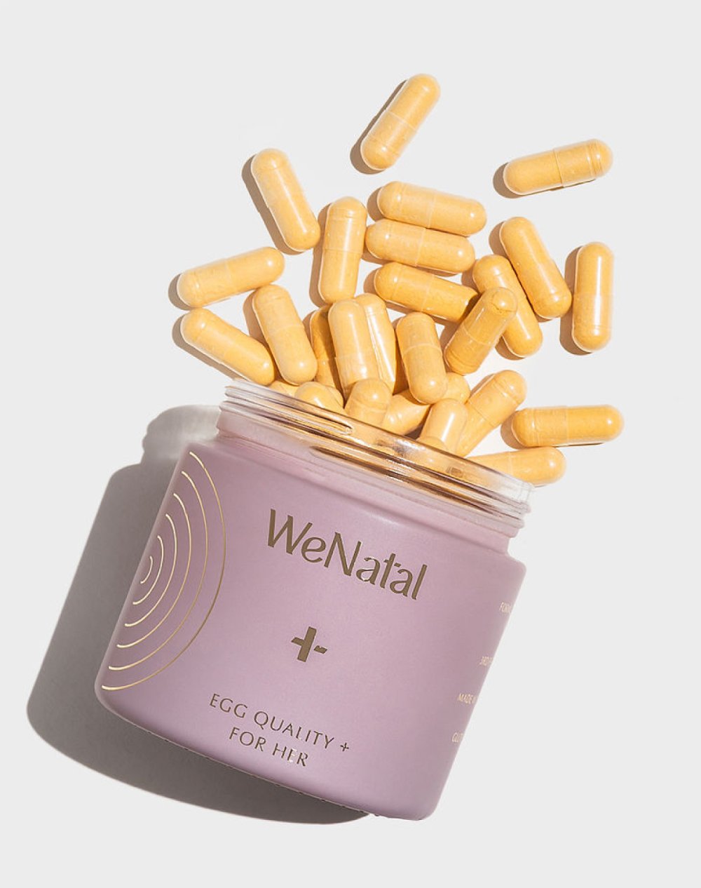 WeNatal Egg Quality + Welcome Kit stock photo in white background