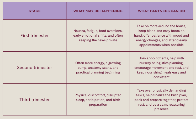 partners during pregnancy chart