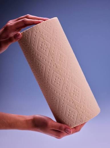 Plant Paper